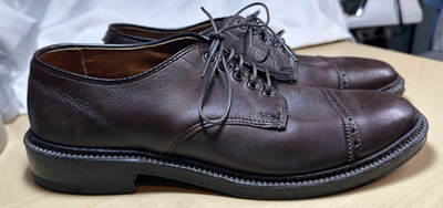 Alden 34842 Brown Calfskin Perforated Straight Tip Blucher