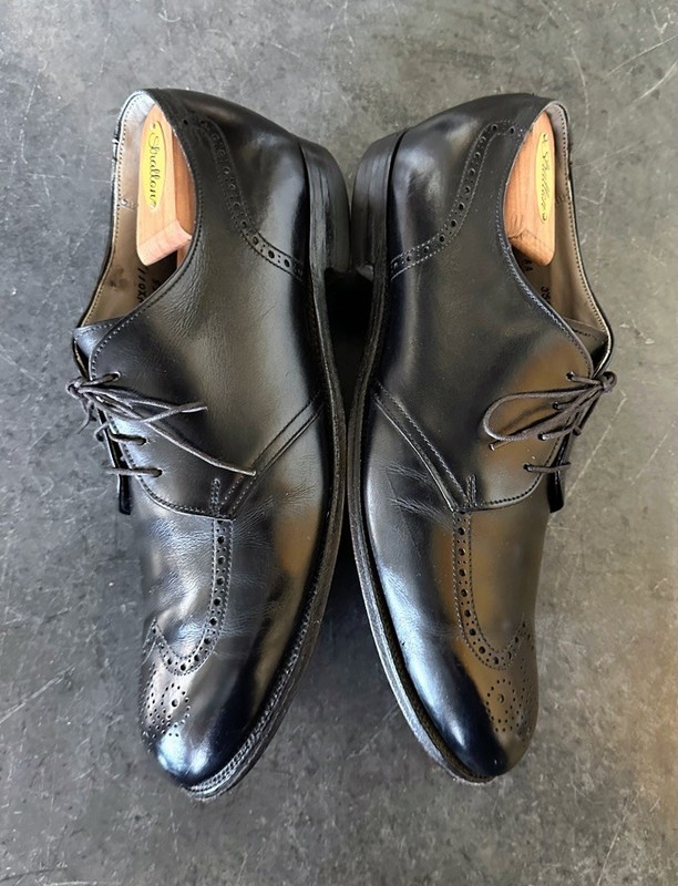 Alden 256