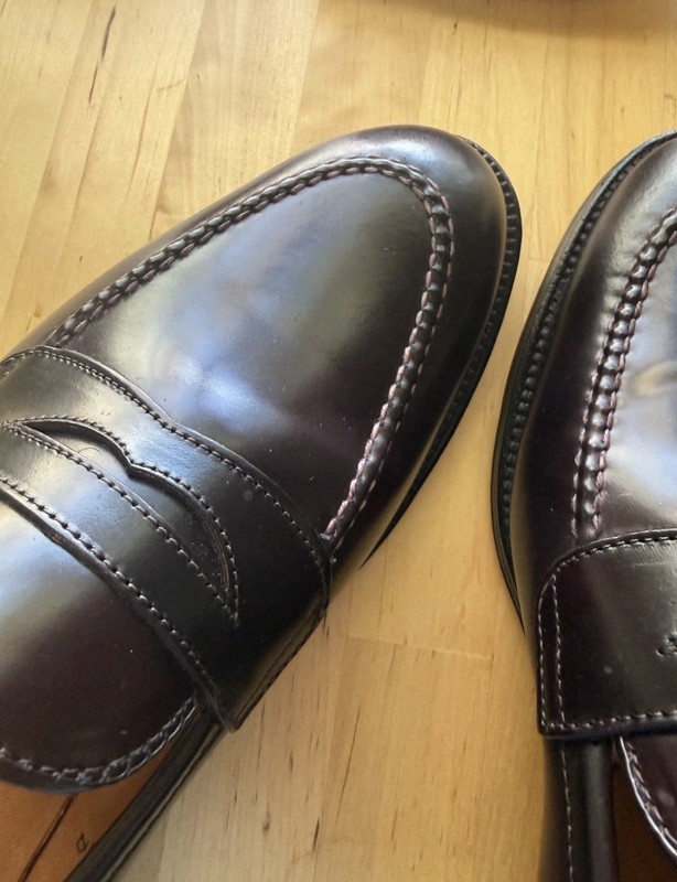 Alden 67169