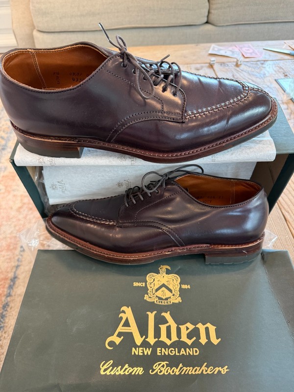 Alden 4330CY