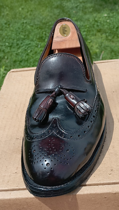 Alden 5535