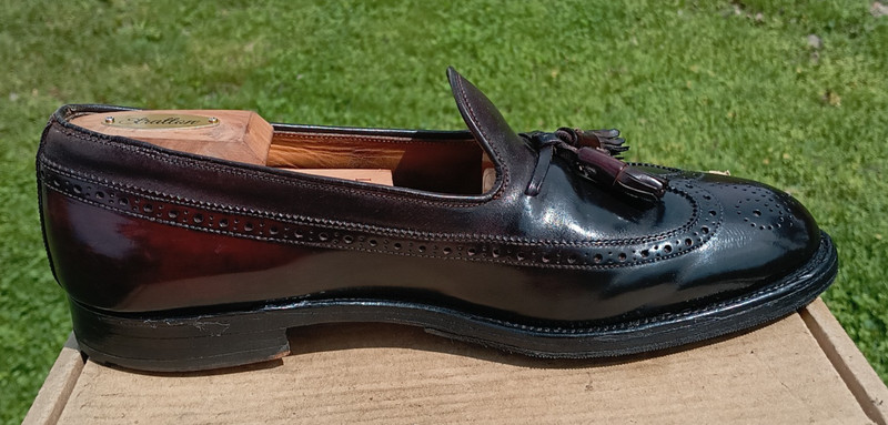 Alden 5535