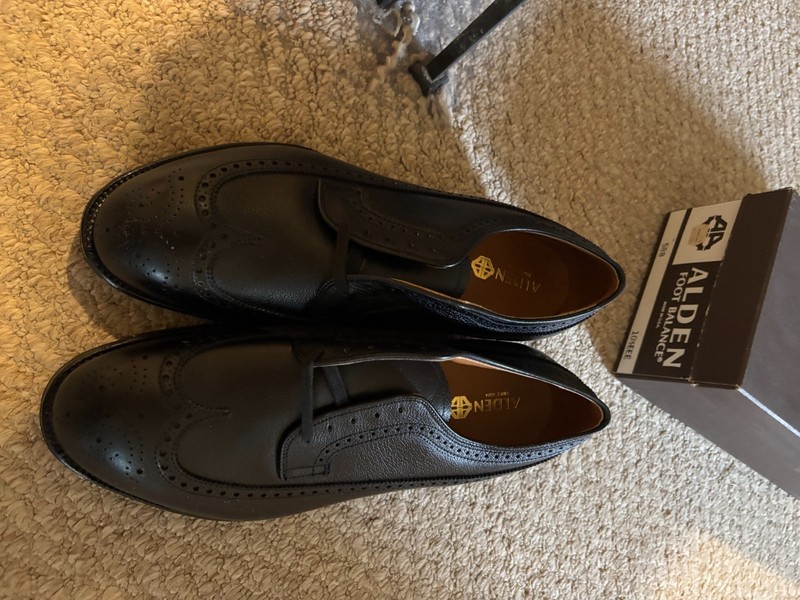 Alden 588 Black Alpine Grain Long Wing Blucher | Alden Model Project