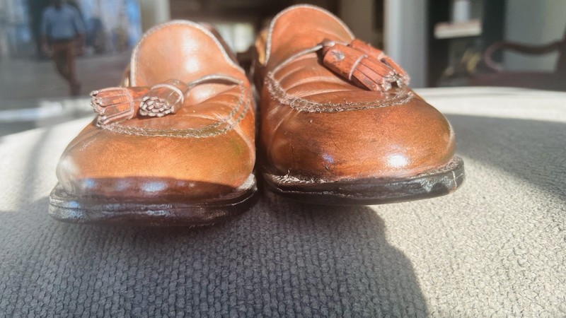 Alden 561