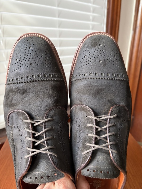 Alden D6533