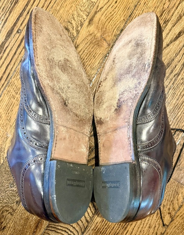 Alden 06604