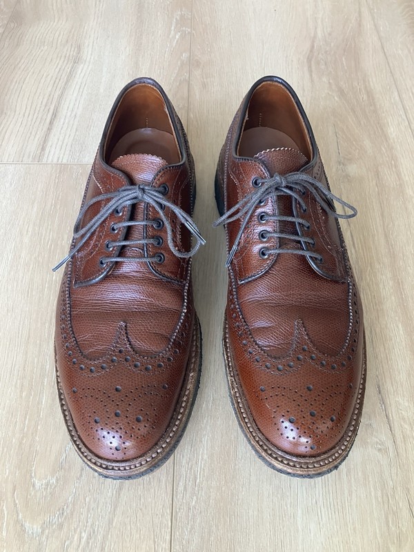 Alden 97981 Brown Alpine Grain Long Wing Blucher | Alden Model Project