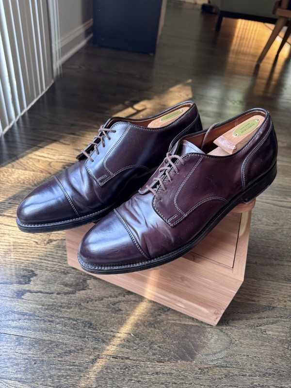 靴 ALDEN 2160 61/2 Alden 2160 Color 8 Shell Cordovan Straight Tip Blucher | Alden