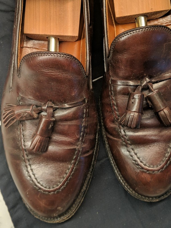 Alden 561