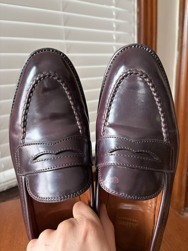 Alden 67169