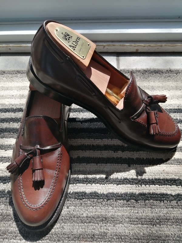 Alden 561