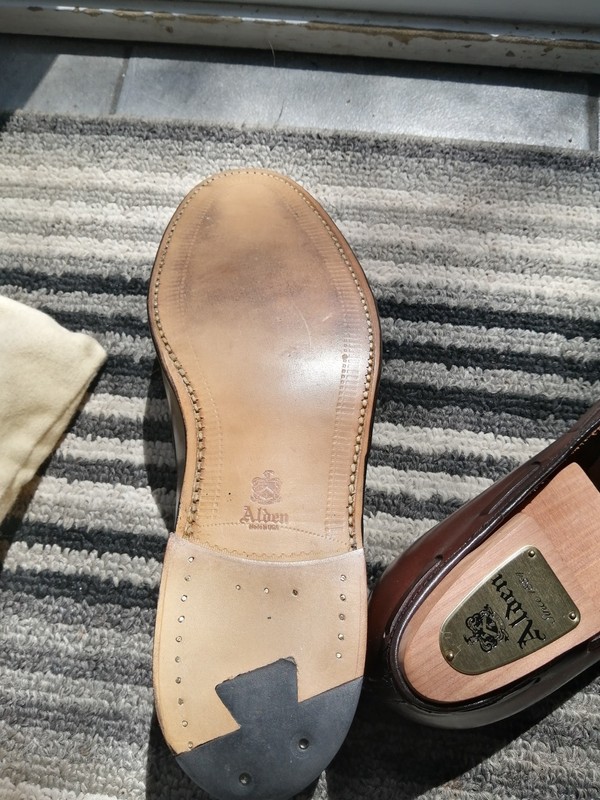 Alden 561