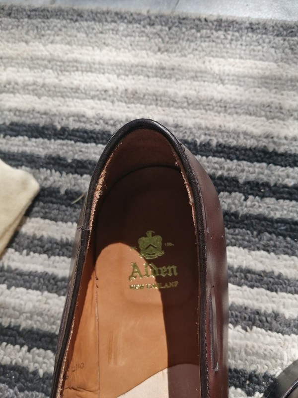 Alden 561