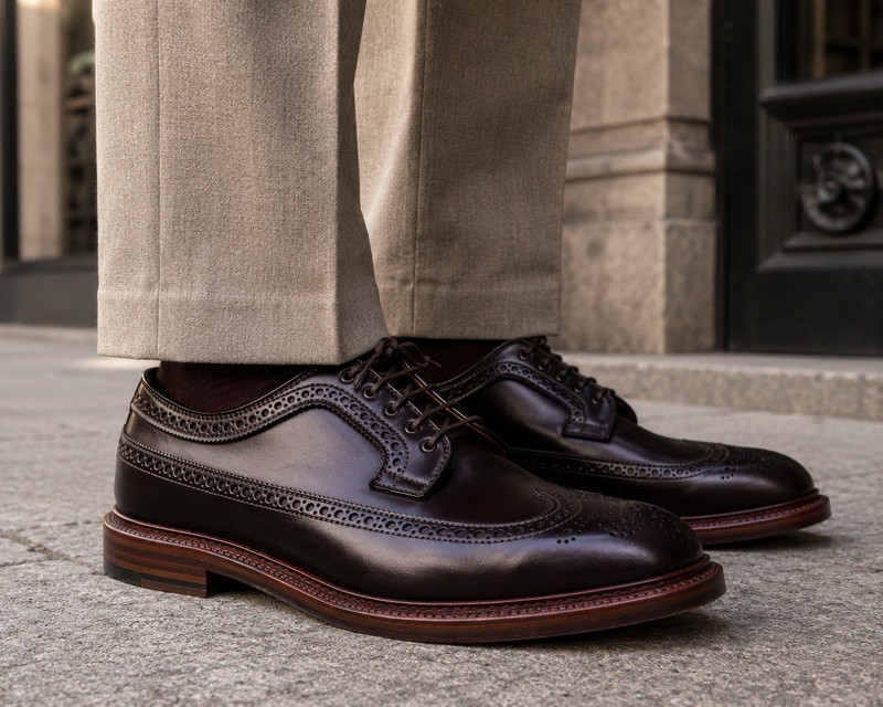 Alden D2517 Color 8 Shell Cordovan Long Wing Blucher | Alden Model