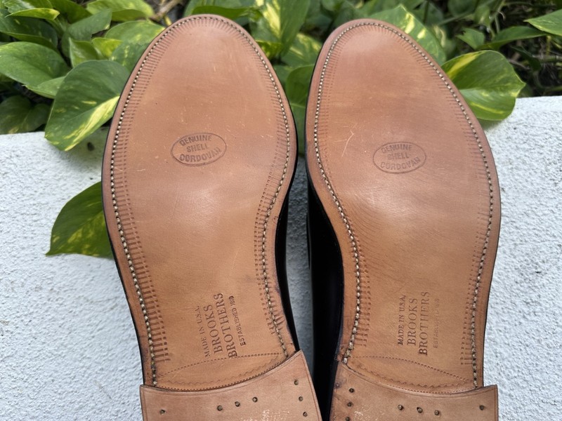 Alden 06601
