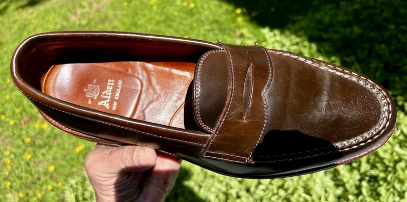 Alden 6717