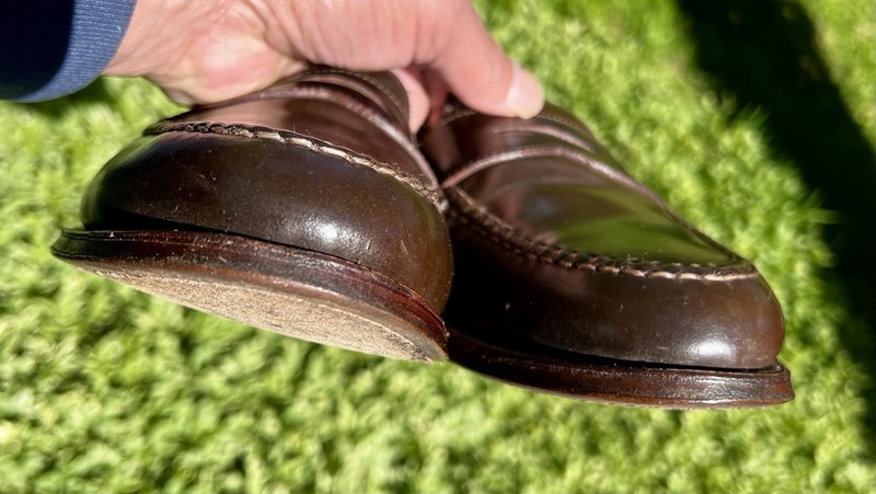 Alden 6717