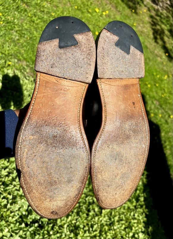 Alden 6717