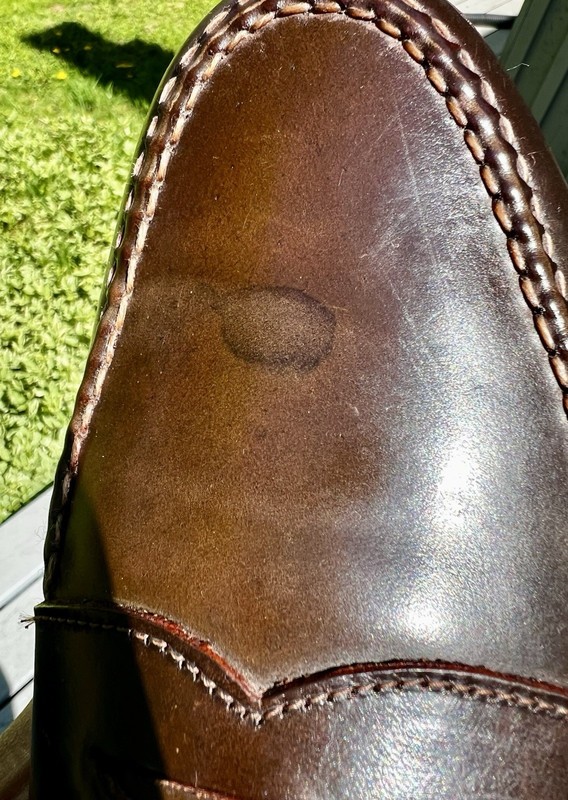 Alden 6717