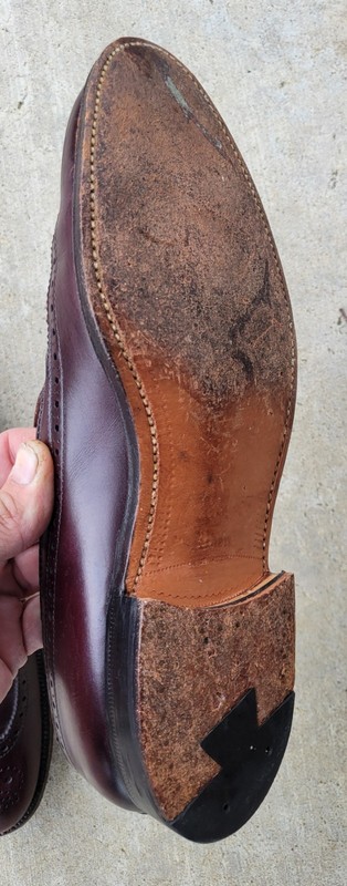 Alden 553