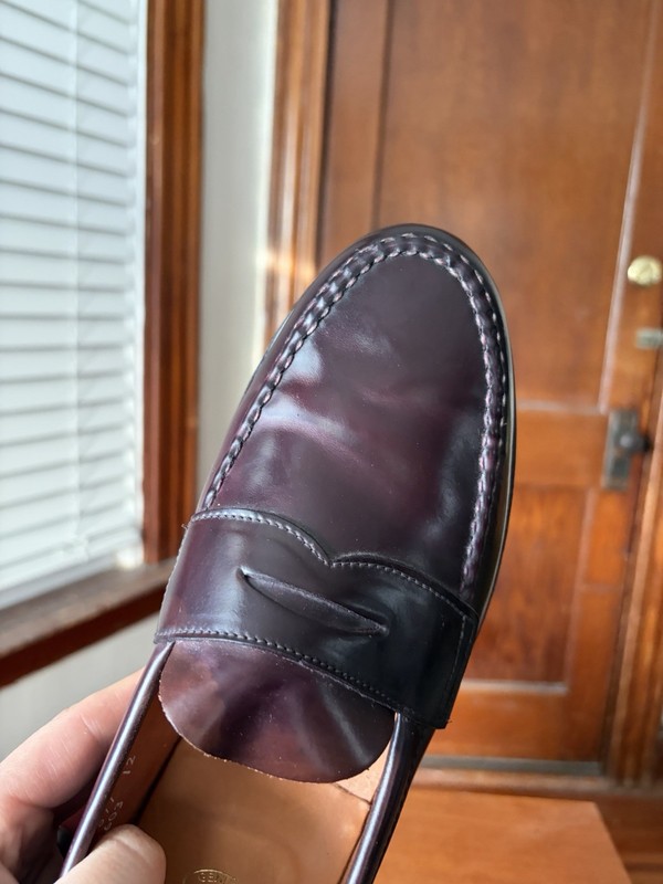 Alden 06603