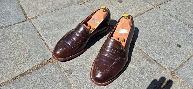 Alden 6841