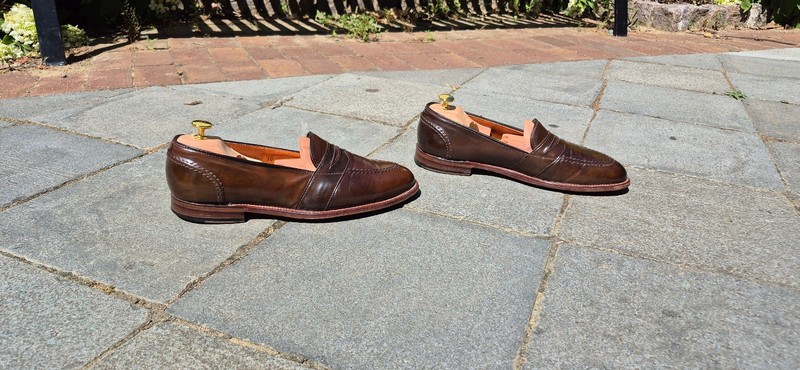 Alden 6841