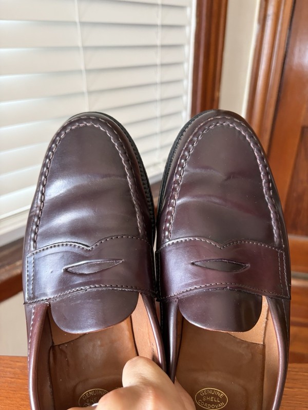 Alden 06603