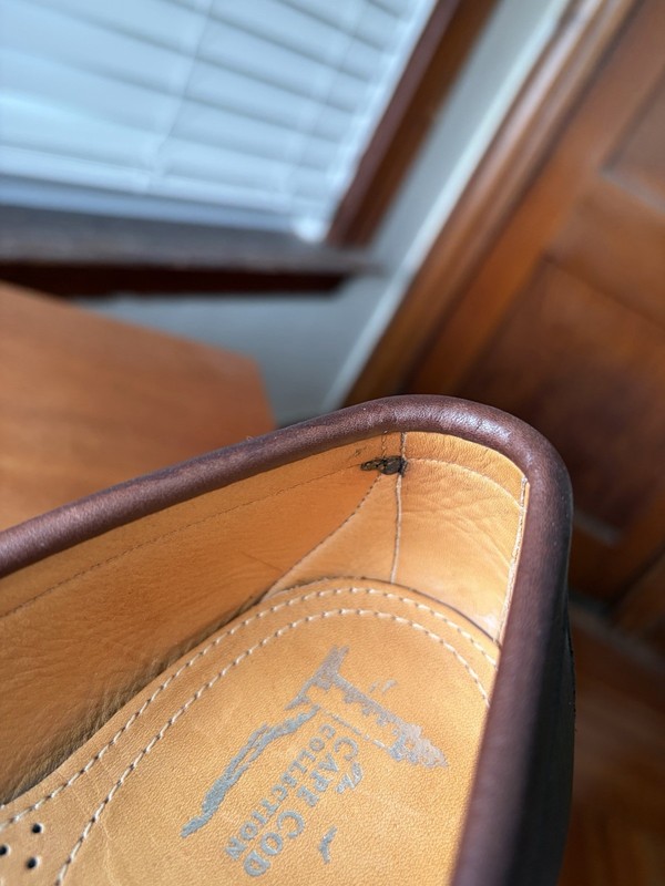 Alden H466