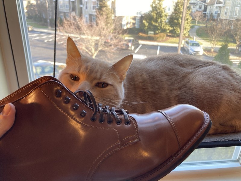 Alden D0833HC