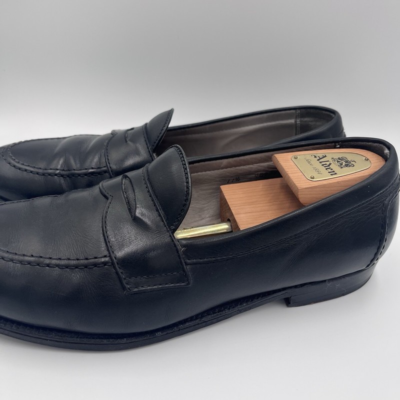 Alden 9695F