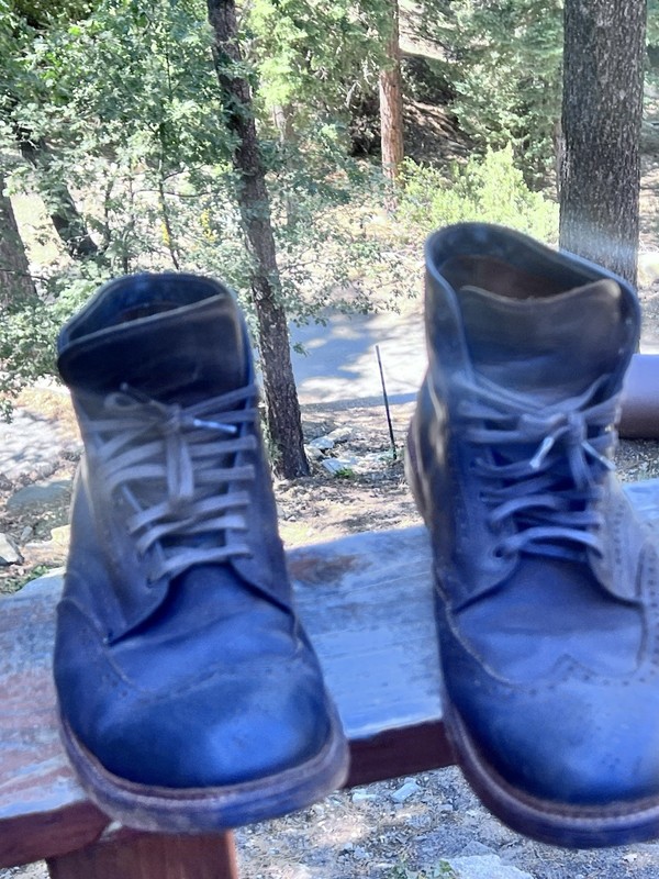 Alden 44682