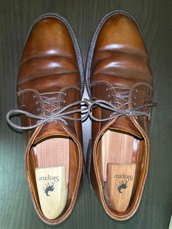 Alden 9900