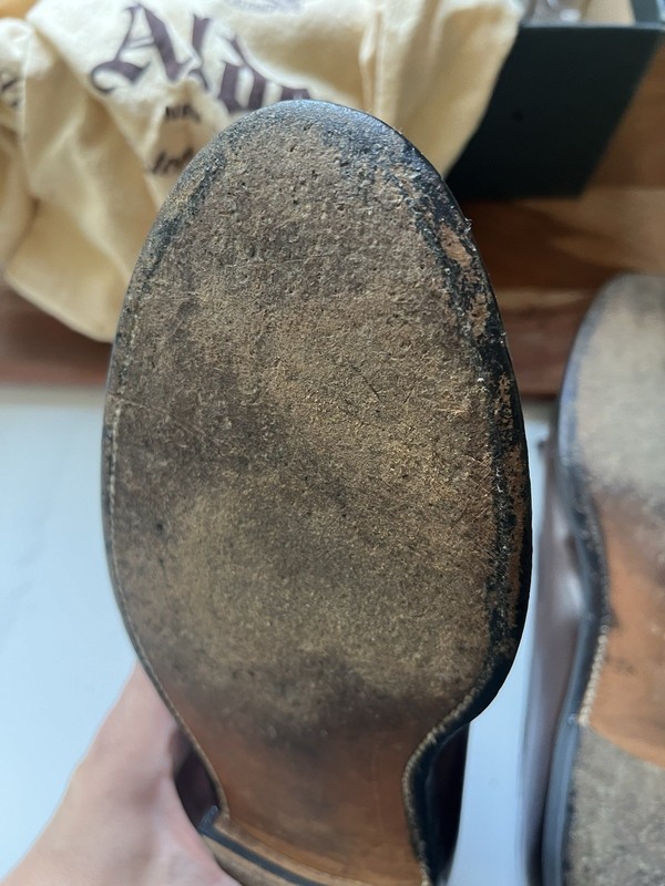 Alden 561