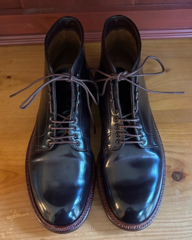 Alden D2812H Color 8 Shell Cordovan Plain Toe Boot | Alden Model
