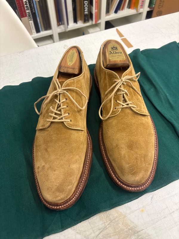 Alden 29332F