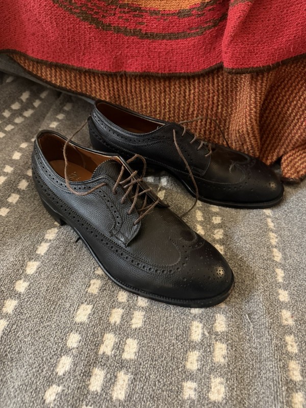 Alden 588 Black Alpine Grain Long Wing Blucher | Alden Model Project