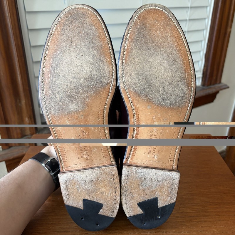 Alden 06603