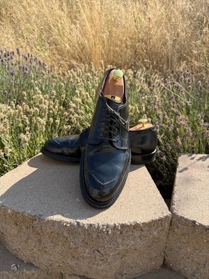 Alden D7617C Black Shell Cordovan V-Tip Blucher