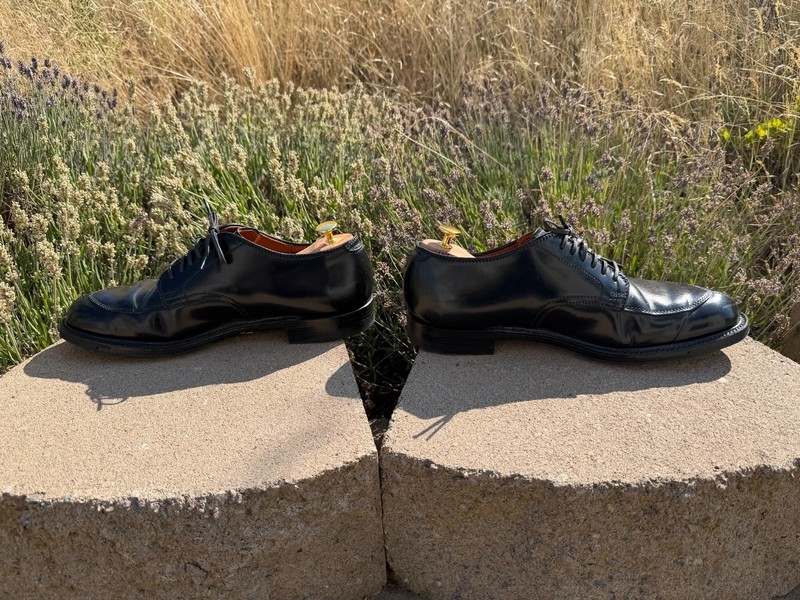 Alden D7617C