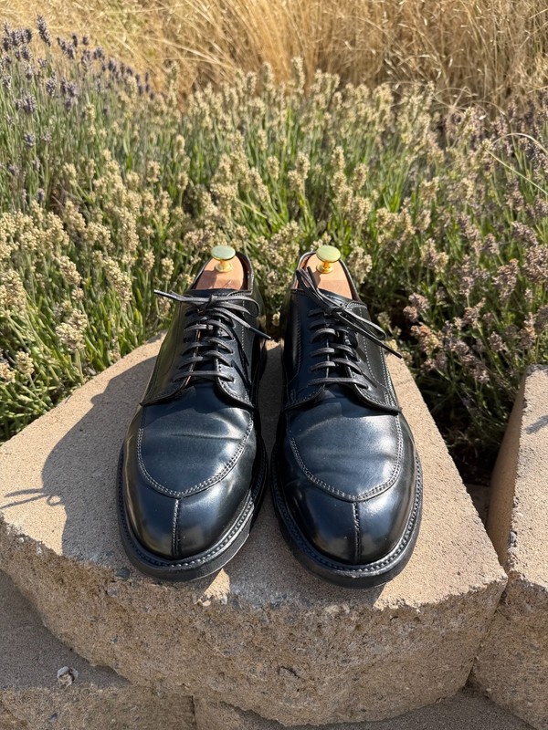 Alden D7617C