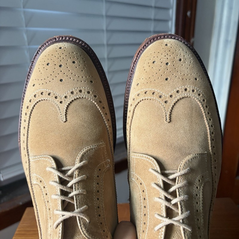Alden 97785
