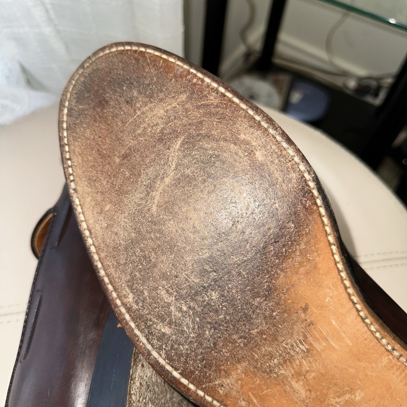 Alden 561