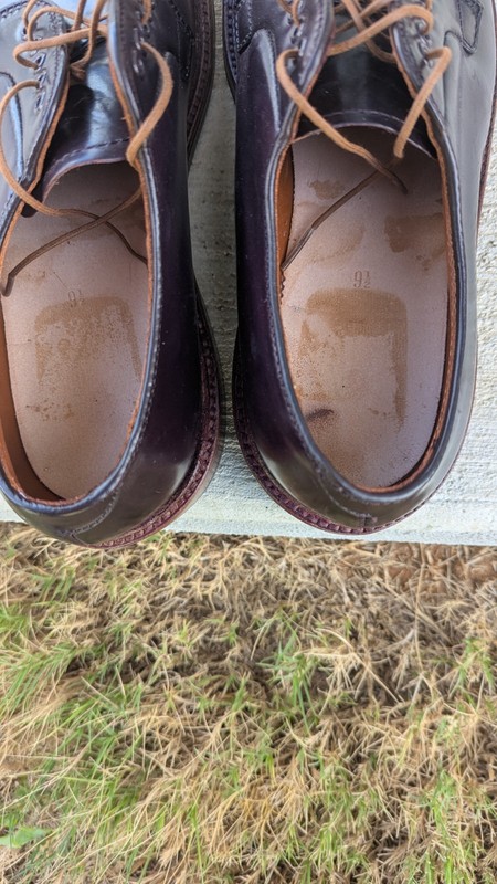 Alden D8404