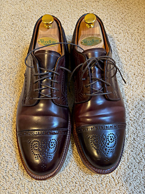 Alden 21522 Color 8 Shell Cordovan Medallion Tip Blucher