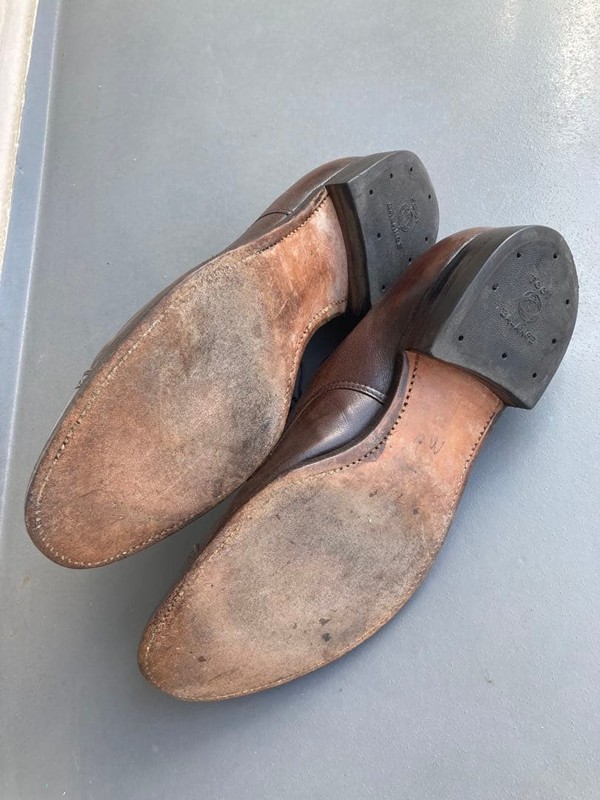 Alden 564
