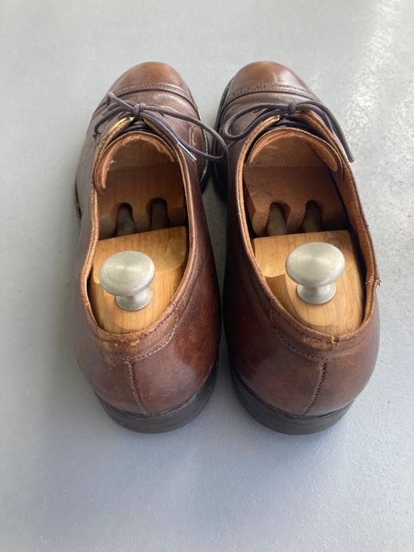 Alden 564