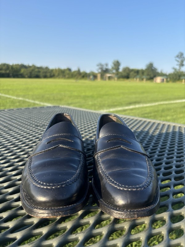 Alden 34378