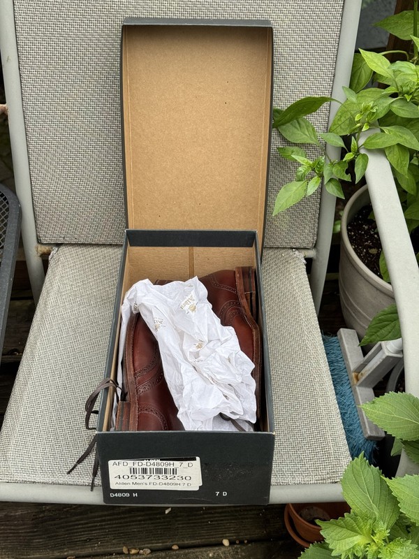 Alden D4809H