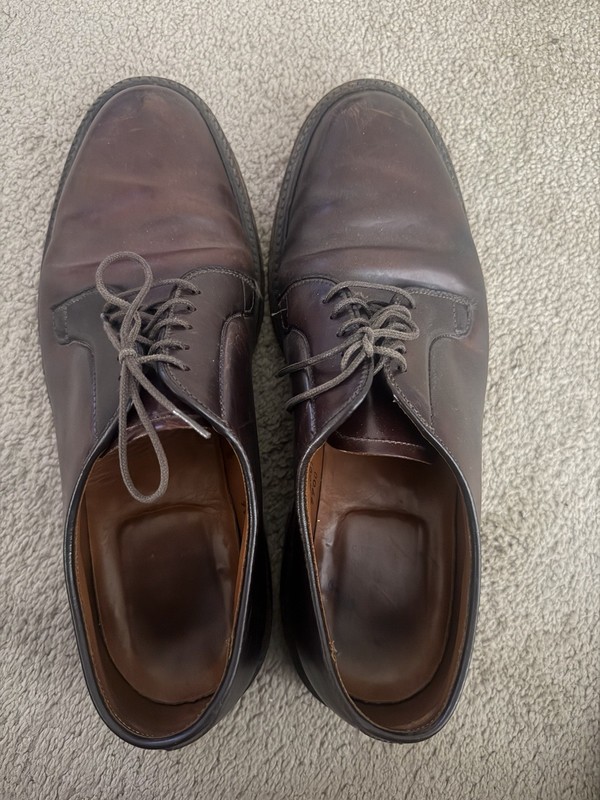Alden 06608